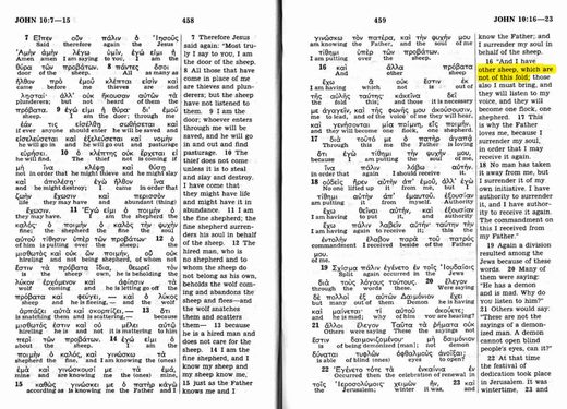 New World Translation, John 10:16